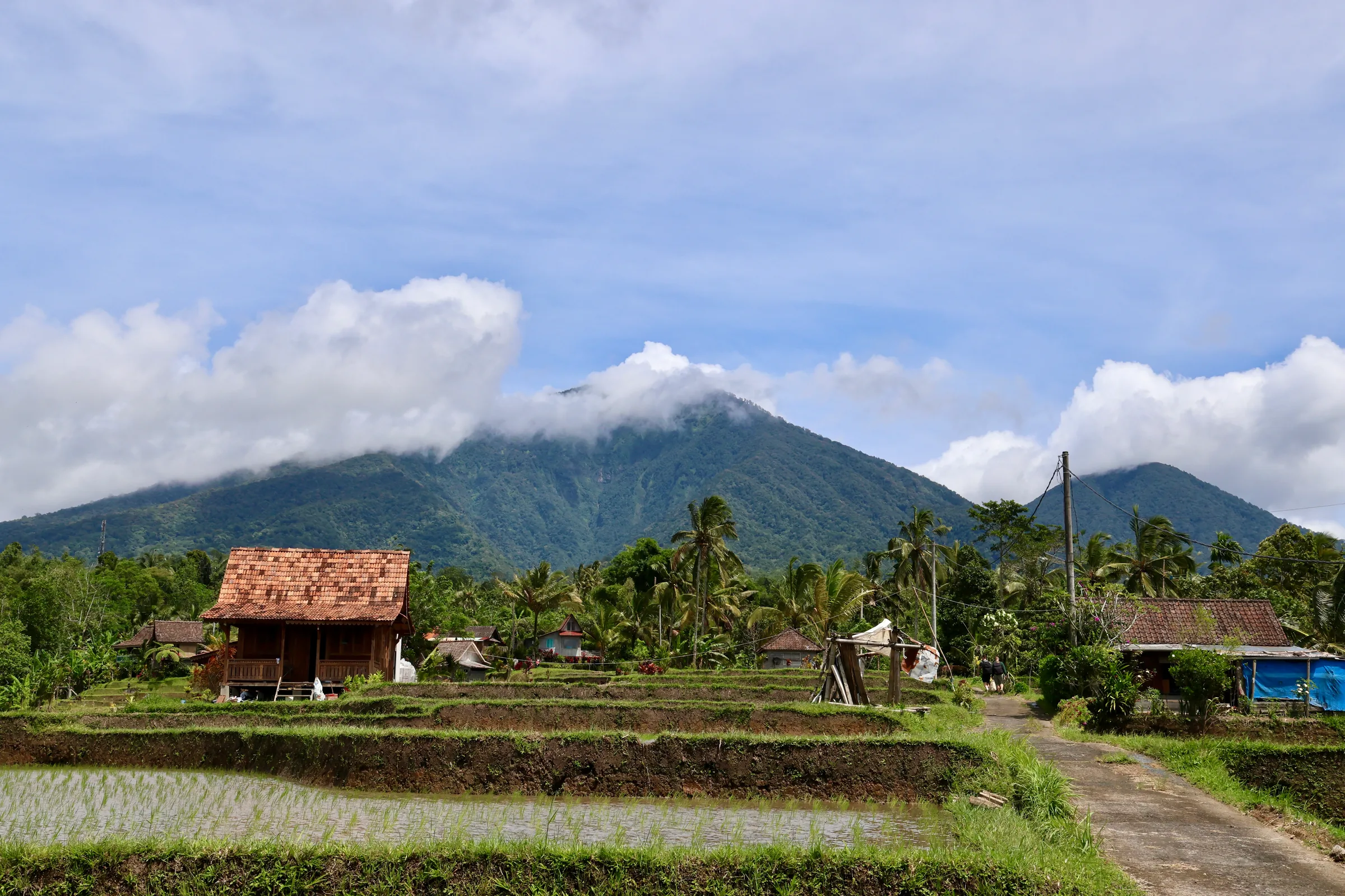 Bali, gallery 7