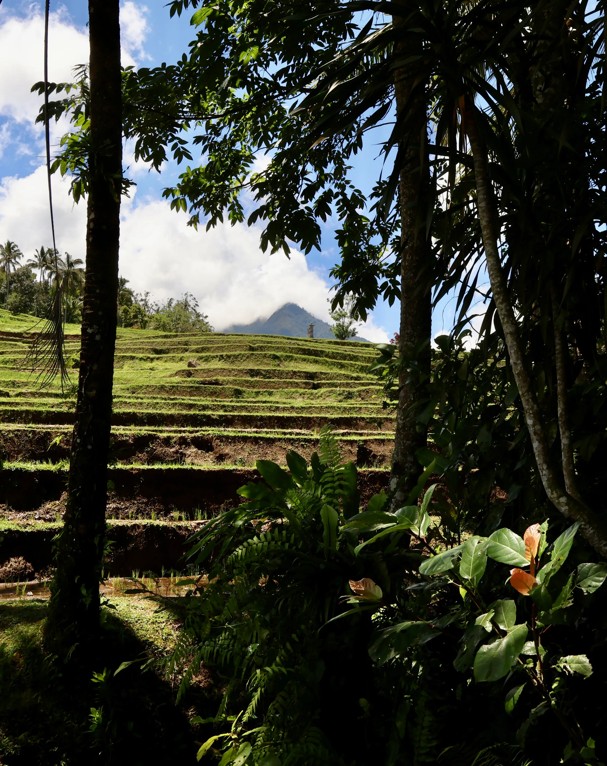 Bali, gallery 5